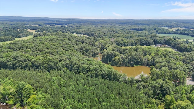 4070 Swannie Coble Rd, Snow Camp, NC 27349 - photo 43