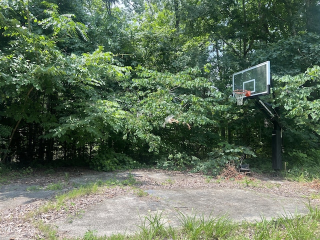 4070 Swannie Coble Rd, Snow Camp, NC 27349 - photo 63