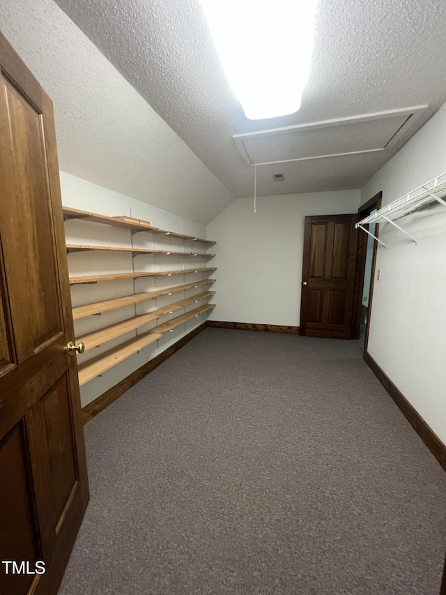 4070 Swannie Coble Rd, Snow Camp, NC 27349 - photo 66