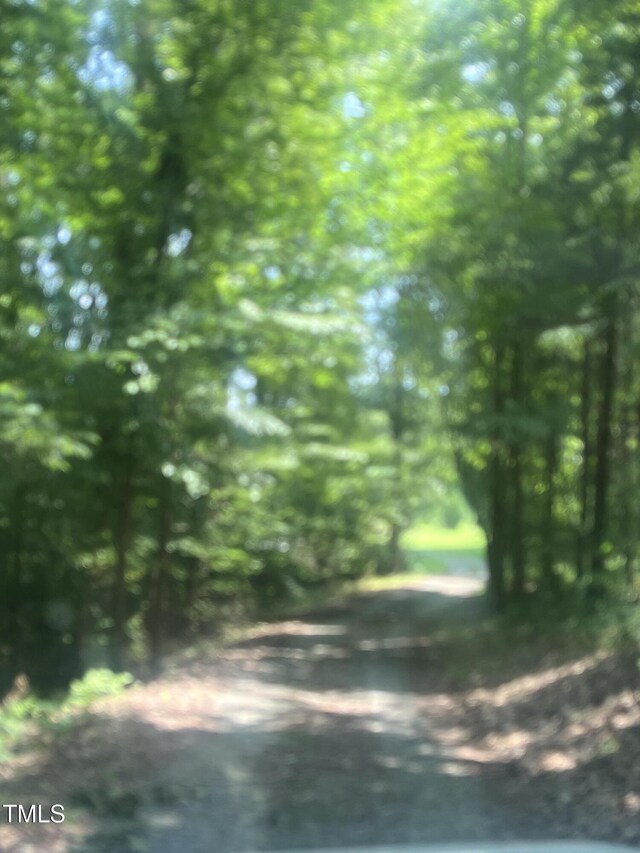 4070 Swannie Coble Rd, Snow Camp, NC 27349 - photo 67