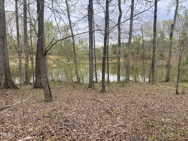 4070 Swannie Coble Rd, Snow Camp, NC 27349 - photo 71