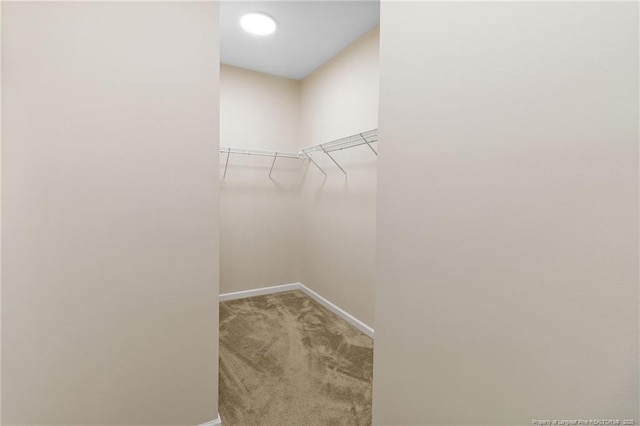 3501 Ajuga Pl, Fayetteville, NC 28314 - photo 23