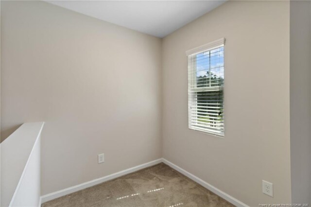 3501 Ajuga Pl, Fayetteville, NC 28314 - photo 25
