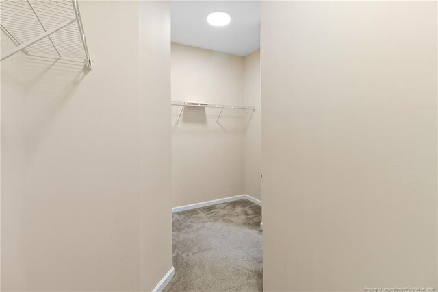 3501 Ajuga Pl, Fayetteville, NC 28314 - photo 24