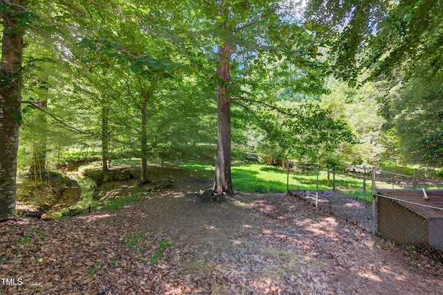 3263 S Jim Minor Rd, Haw River, NC 27258 - view of yard