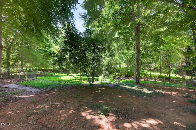 3263 S Jim Minor Rd, Haw River, NC 27258 - view of yard