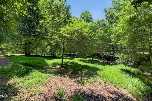 3263 S Jim Minor Rd, Haw River, NC 27258 - view of tree filled area