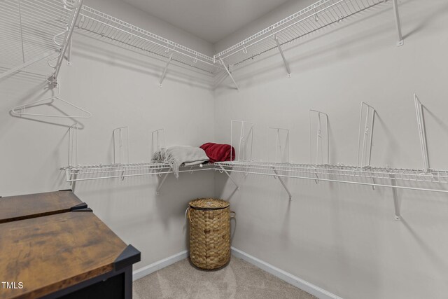 308 Sutton Glen Dr, Apex, NC 27523 - spacious closet with carpet flooring