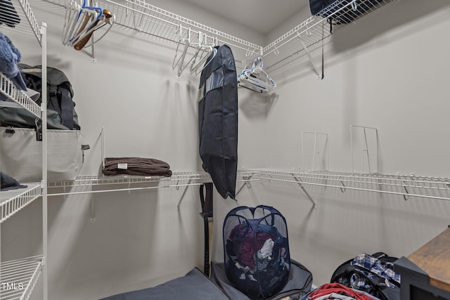 308 Sutton Glen Dr, Apex, NC 27523 - view of spacious closet