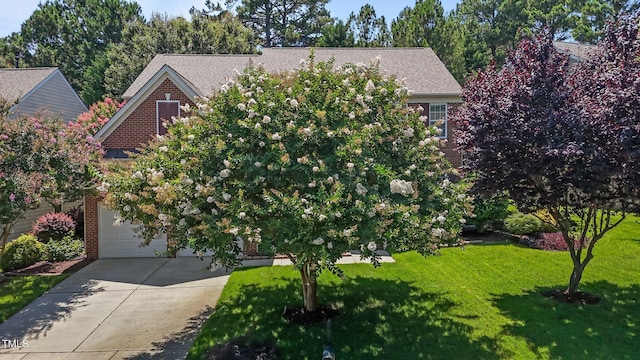 308 Sutton Glen Dr, Apex, NC 27523 - view of property hidden behind natural elements featuring brick siding, driveway, a front lawn, and a shingled roof
