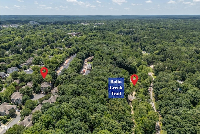 219 W Columbia Pl, Chapel Hill, NC 27516 - photo 49