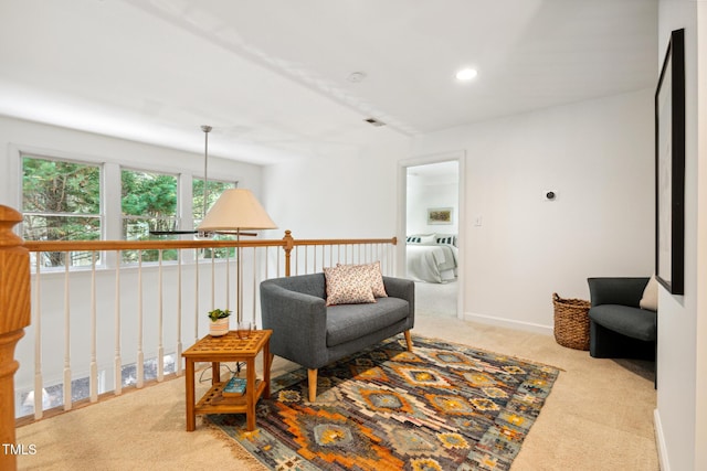 219 W Columbia Pl, Chapel Hill, NC 27516 - photo 21