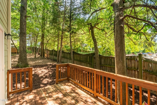 219 W Columbia Pl, Chapel Hill, NC 27516 - photo 38