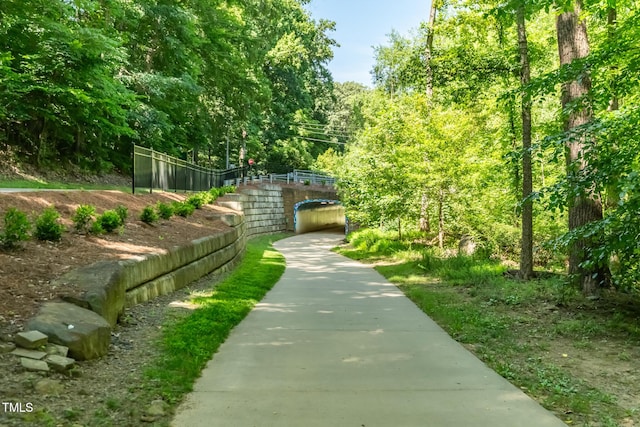 219 W Columbia Pl, Chapel Hill, NC 27516 - photo 53