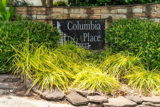 219 W Columbia Pl, Chapel Hill, NC 27516 - photo 43