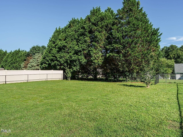 516 Yellow Berry, Wendell, NC 27591 - view of yard