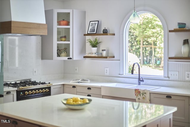 110 Duckwood Ln, Cary, NC 27518 - kitchen featuring open shelves, healthy amount of natural light, premium range hood, and wainscoting