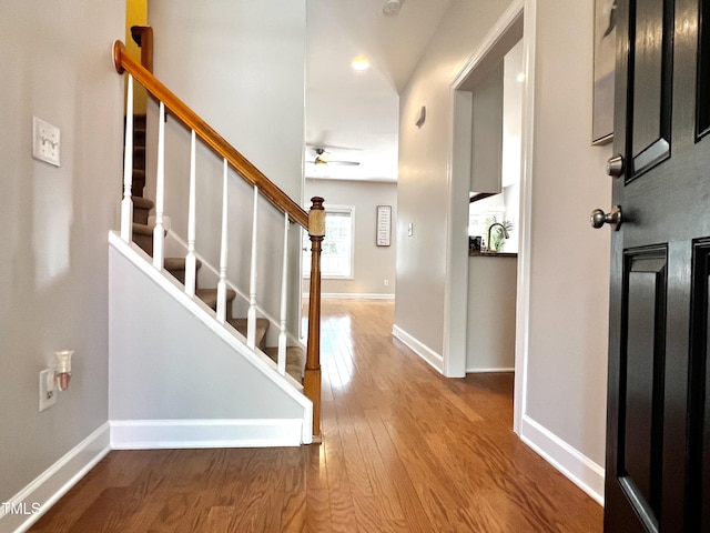 2069 White Pond Ct, Apex, NC 27523 - foyer featuring ceiling fan, wood finished floors, and stairway