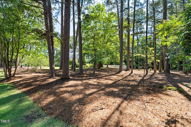 1610 Ridge Rd, Raleigh, NC 27607 - view of yard