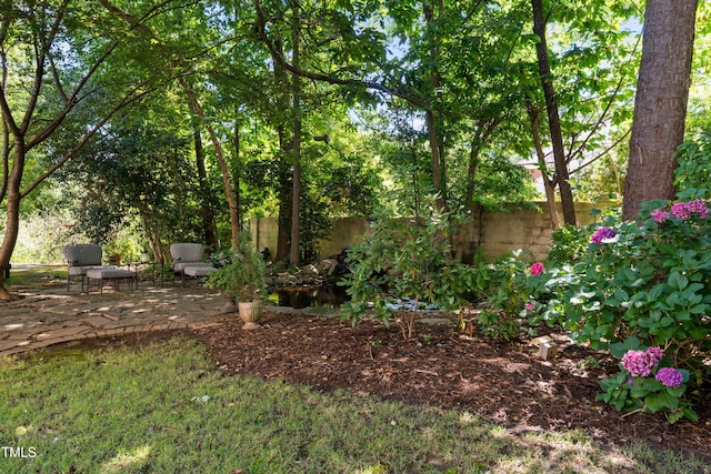 1610 Ridge Rd, Raleigh, NC 27607 - view of yard featuring a patio