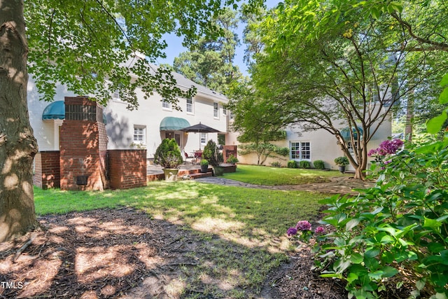 1610 Ridge Rd, Raleigh, NC 27607 - view of grassy yard