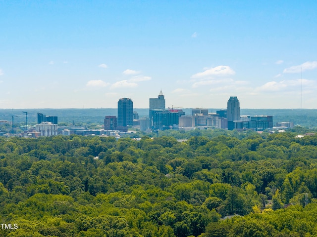 1610 Ridge Rd, Raleigh, NC 27607 - city view with a heavily wooded area