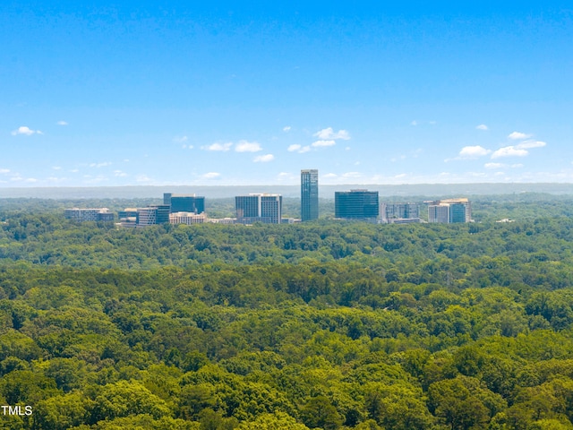 1610 Ridge Rd, Raleigh, NC 27607 - drone / aerial view of a forest