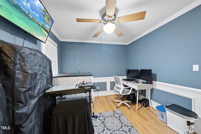 4117 Mangrove Dr, Raleigh, NC 27616 - photo 7