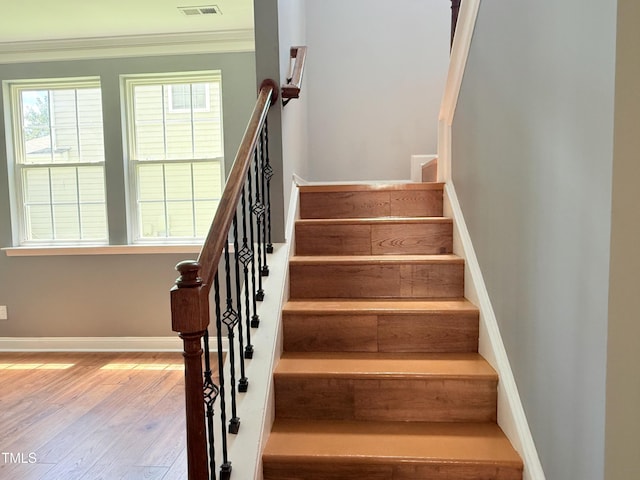 2848 Roundleaf Ct, Raleigh, NC 27607 - photo 16