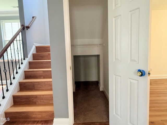 2848 Roundleaf Ct, Raleigh, NC 27607 - photo 27