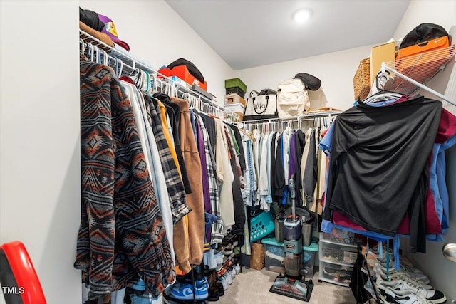 737 Ambrose Hill Ln, Wendell, NC 27591 - walk in closet featuring carpet floors