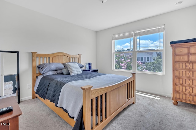 2123 Scarlet Sage Dr, Durham, NC 27704 - bedroom with light carpet