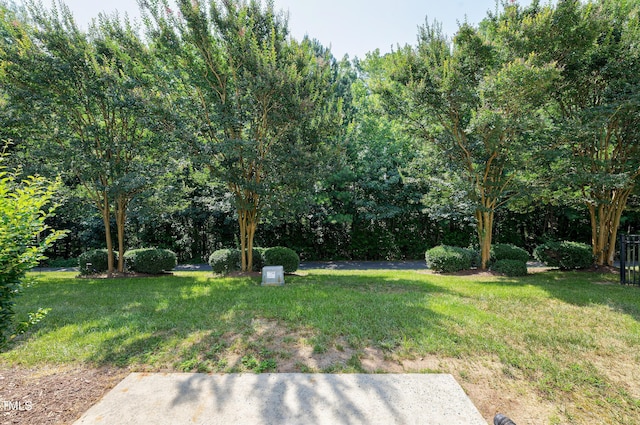 238 Royal Tower Way, Cary, NC 27513 - view of green lawn