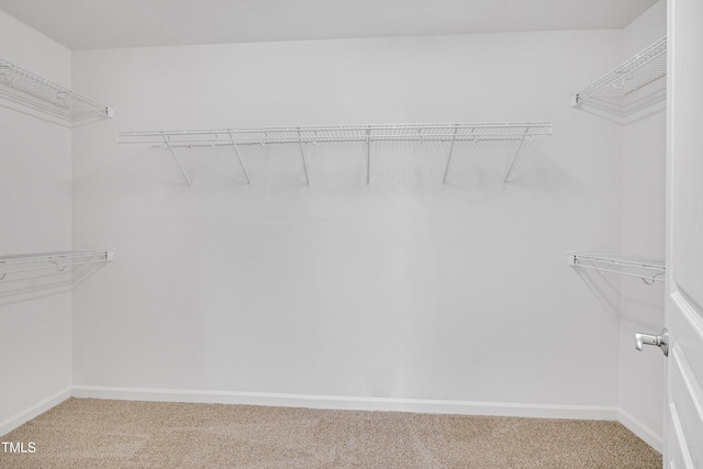 238 Royal Tower Way, Cary, NC 27513 - spacious closet with light carpet