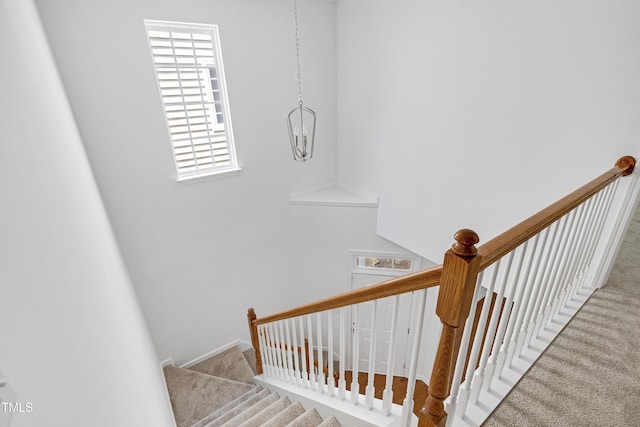 238 Royal Tower Way, Cary, NC 27513 - staircase featuring carpet flooring