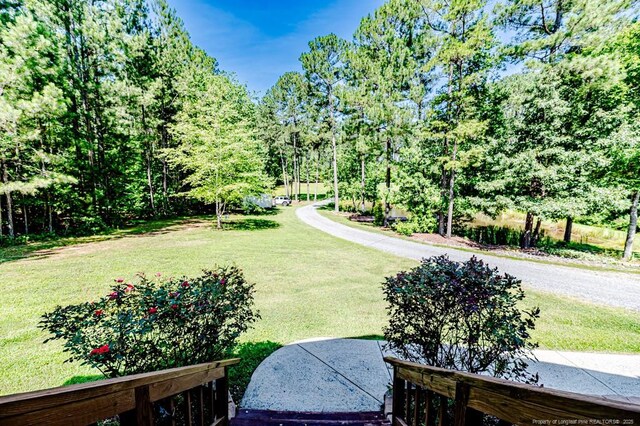 3564 Lower Moncure Rd, Sanford, NC 27330 - photo 6