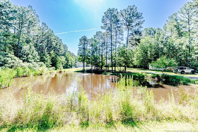 3564 Lower Moncure Rd, Sanford, NC 27330 - photo 45