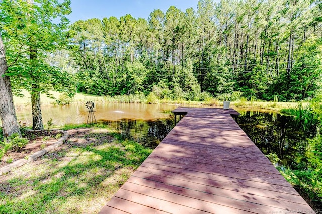 3564 Lower Moncure Rd, Sanford, NC 27330 - photo 46