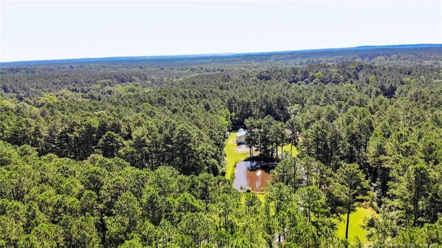 3564 Lower Moncure Rd, Sanford, NC 27330 - photo 48