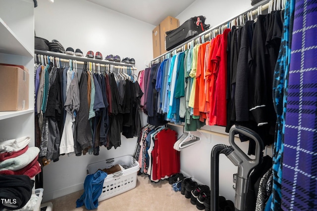 904 E Ivy Valley Dr, Fuquay Varina, NC 27526 - walk in closet with carpet flooring
