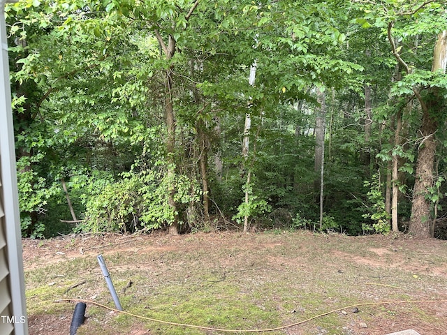 3352 Tarleton W, Durham, NC 27713 - photo 31
