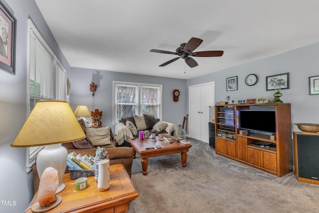 725 Colonial Dr, Raleigh, NC 27603 - photo 6