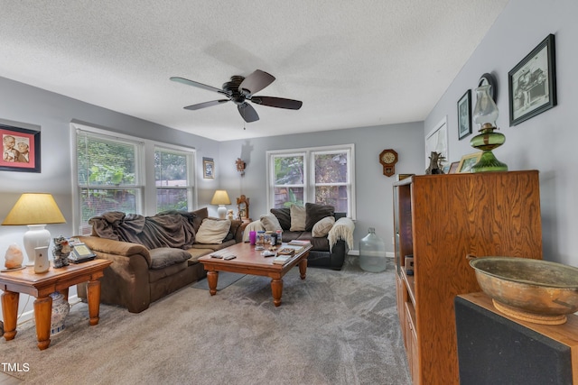 725 Colonial Dr, Raleigh, NC 27603 - photo 7