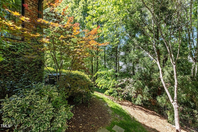 145 Cofield Cir, Durham, NC 27707 - view of yard featuring a forest view