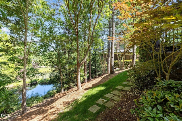 145 Cofield Cir, Durham, NC 27707 - view of yard with a water view