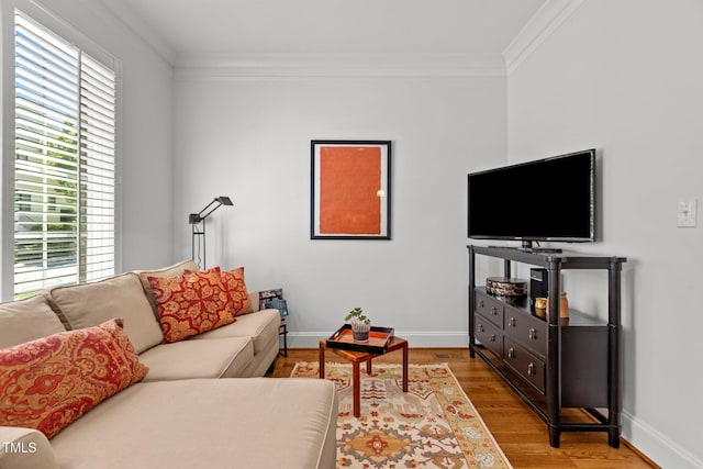 145 Cofield Cir, Durham, NC 27707 - living room featuring ornamental molding and light wood-style floors