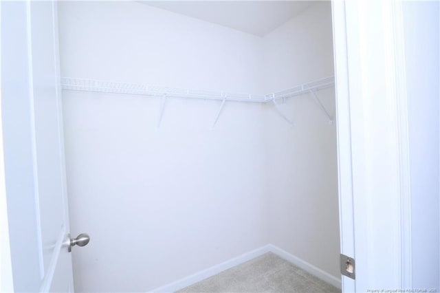 96 Cutty Way, Lillington, NC 27546 - walk in closet with light carpet