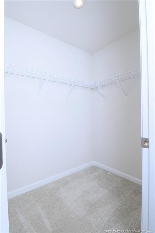 96 Cutty Way, Lillington, NC 27546 - walk in closet featuring carpet floors