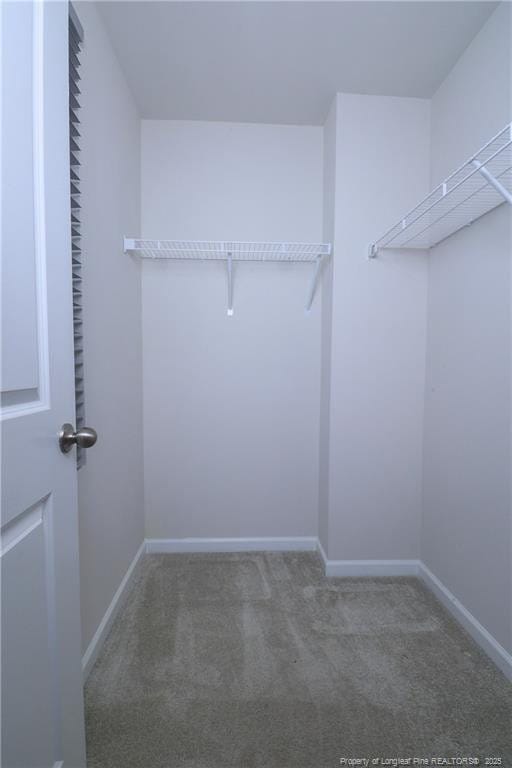 96 Cutty Way, Lillington, NC 27546 - walk in closet with carpet flooring