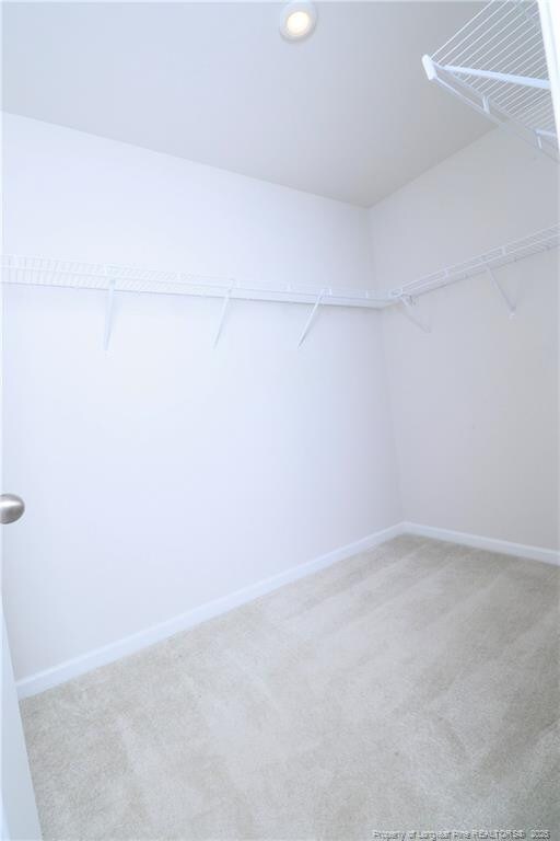 96 Cutty Way, Lillington, NC 27546 - walk in closet featuring carpet flooring